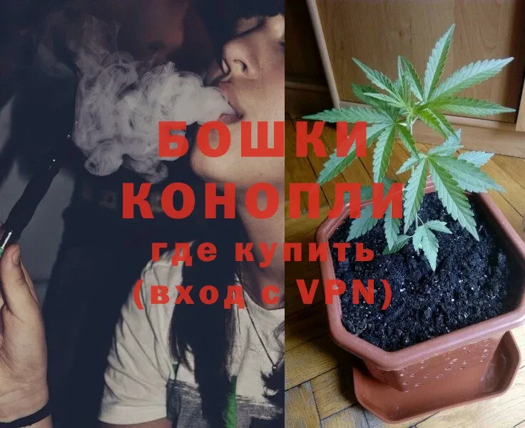 Бошки Шишки THC 21%  наркотики  Власиха 